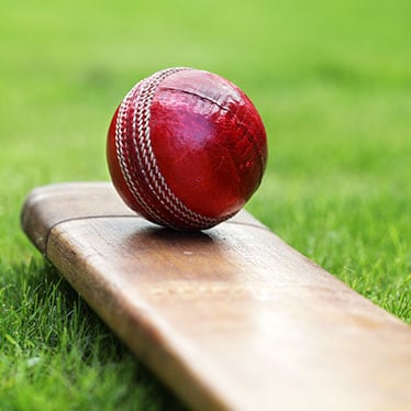 Cricket-Ball