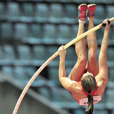 Example-shield-photo-v2